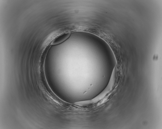X0000092030242200709061620