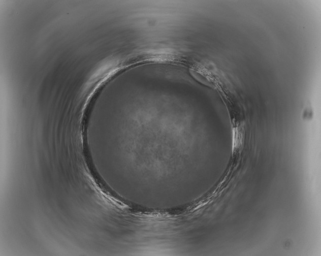 X0000092030243200709061620