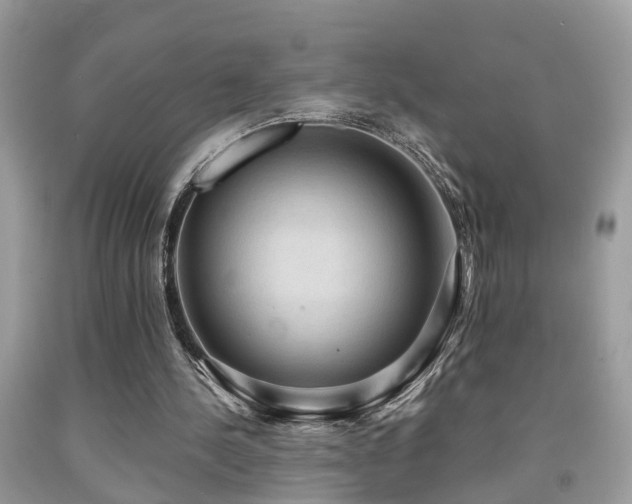 X0000092030244200709061620