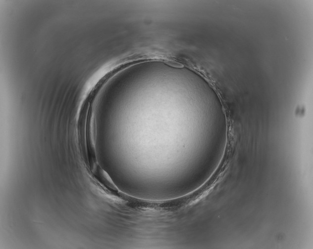 X0000092030246200709061620