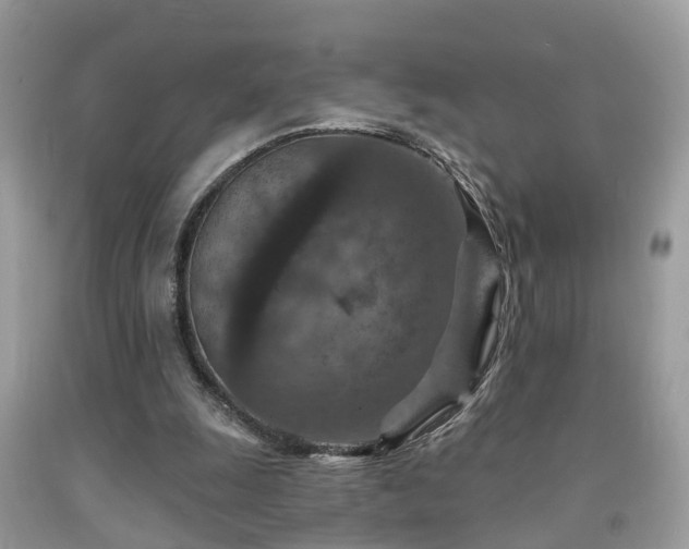 X0000092030247200709061620