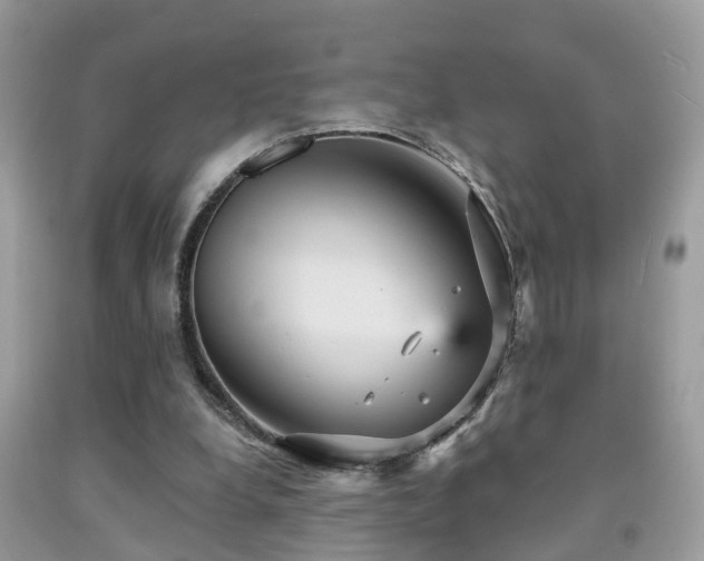 X0000092030248200709061620