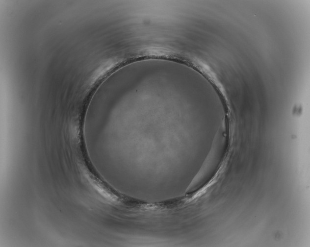 X0000092030249200709061620