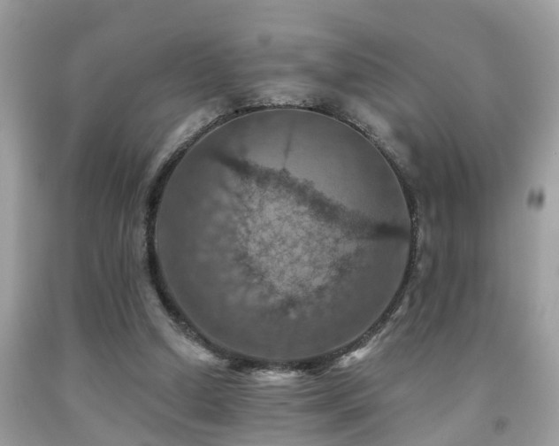 X0000092030250200709061620