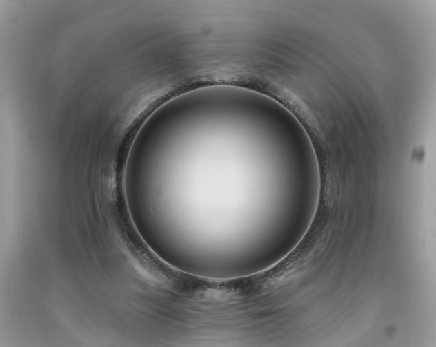 X0000092030251200709061620