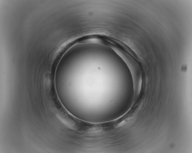 X0000092030252200709061620