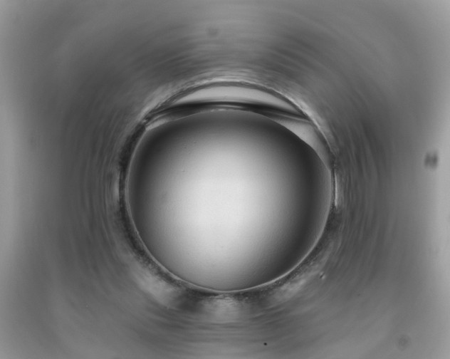 X0000092030253200709061620
