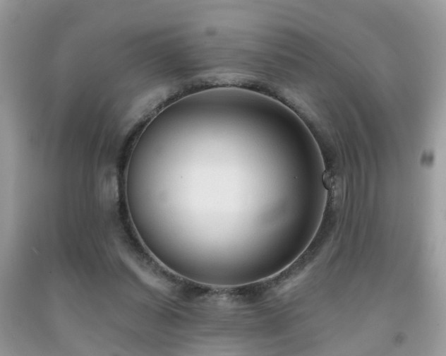 X0000092030254200709061620