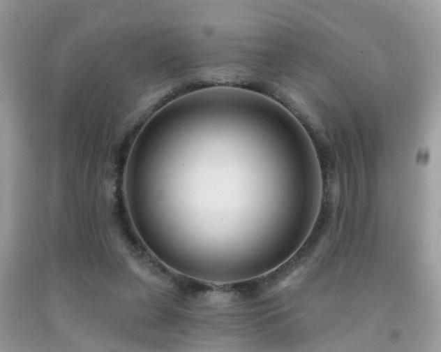 X0000092030255200709061620