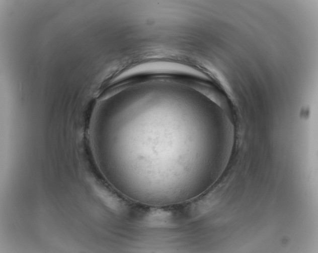 X0000092030257200709061620