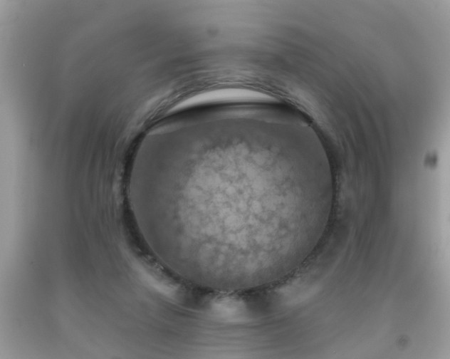 X0000092030258200709061620