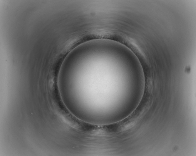 X0000092030259200709061620