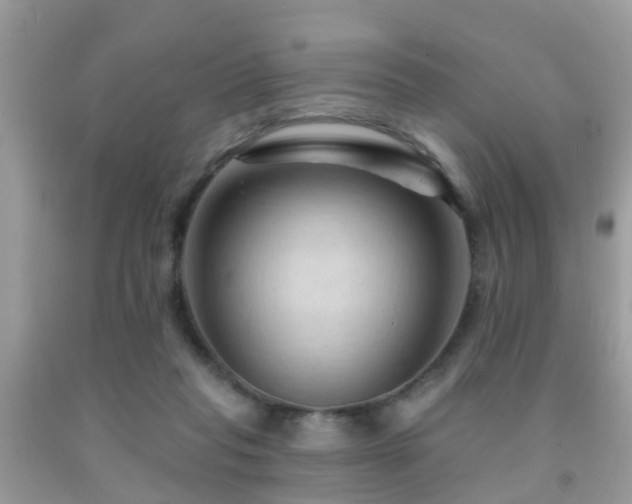 X0000092030261200709061620