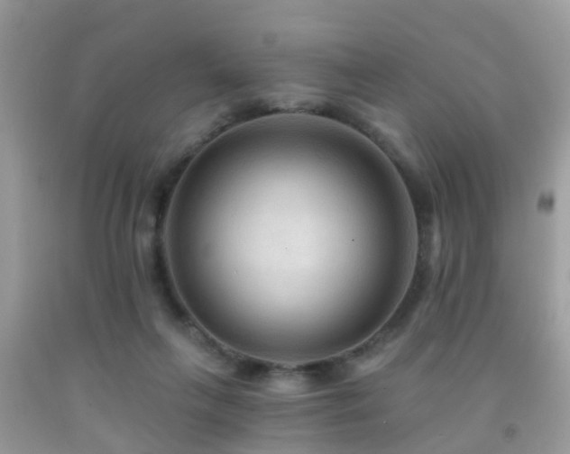 X0000092030263200709061620