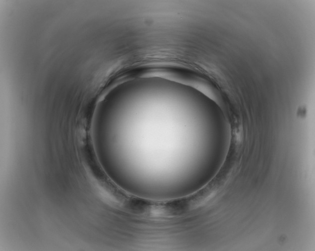 X0000092030264200709061620