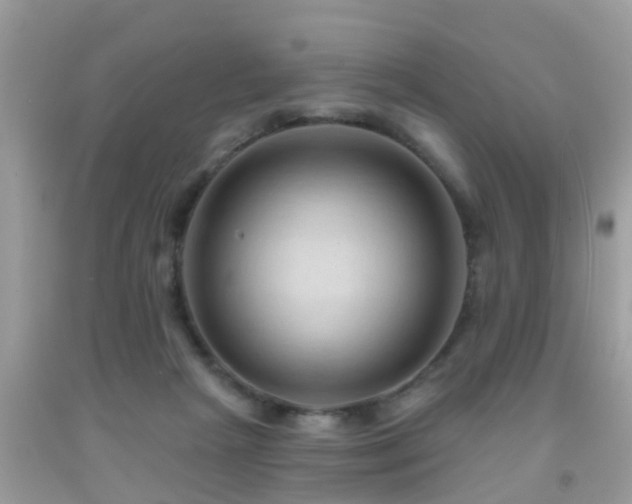 X0000092030265200709061620