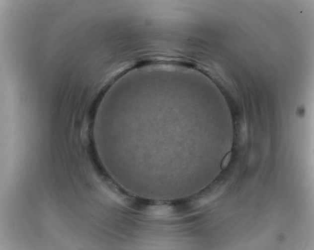 X0000092030266200709061621