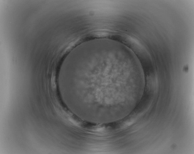 X0000092030267200709061621