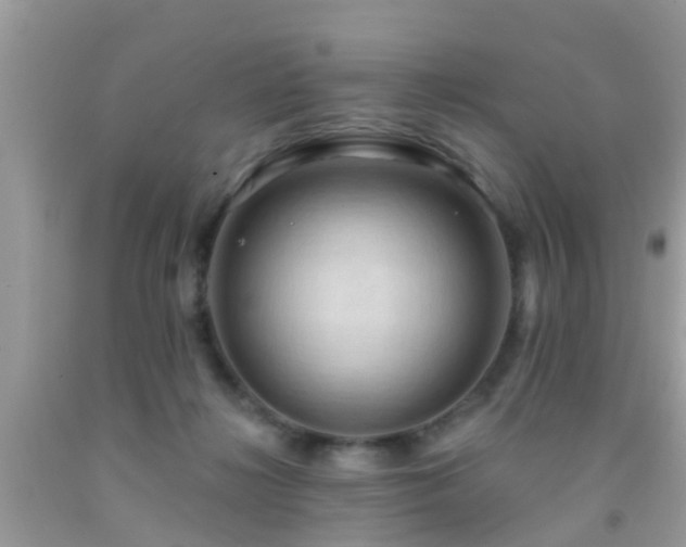 X0000092030268200709061621
