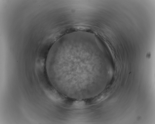 X0000092030271200709061621