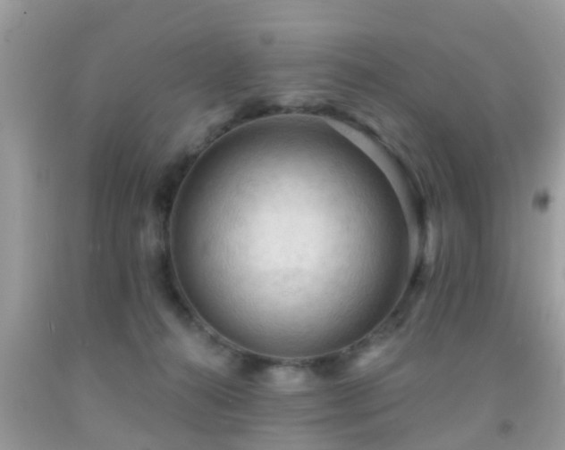 X0000092030272200709061621