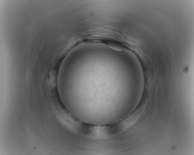 X0000092030273200709061621