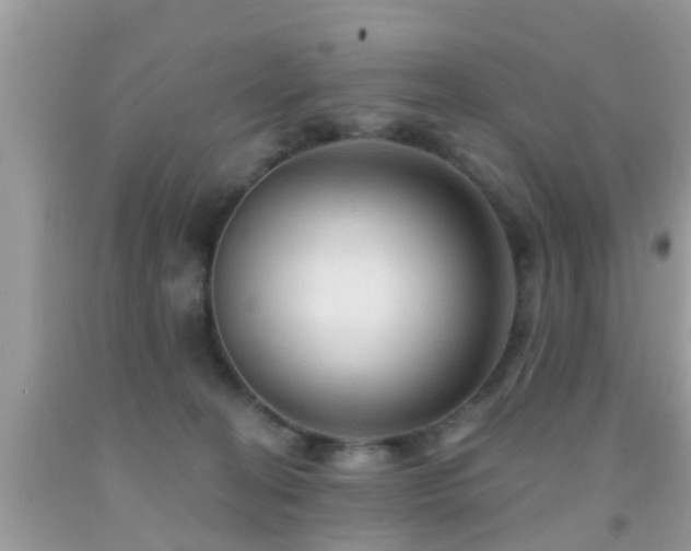 X0000092030274200709061621
