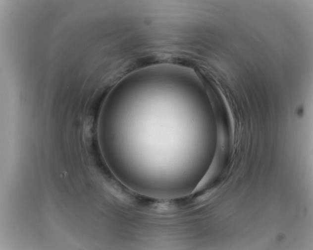 X0000092030275200709061621