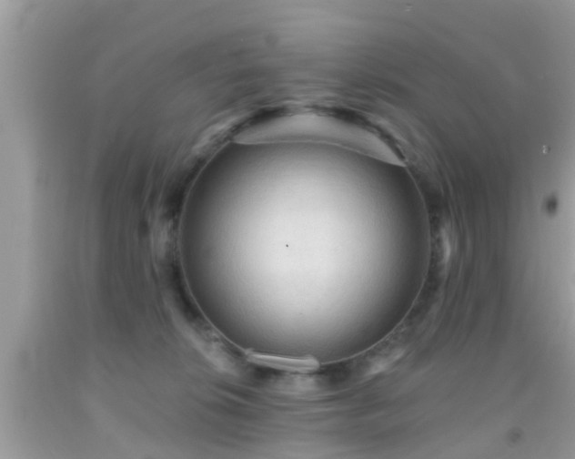 X0000092030276200709061621