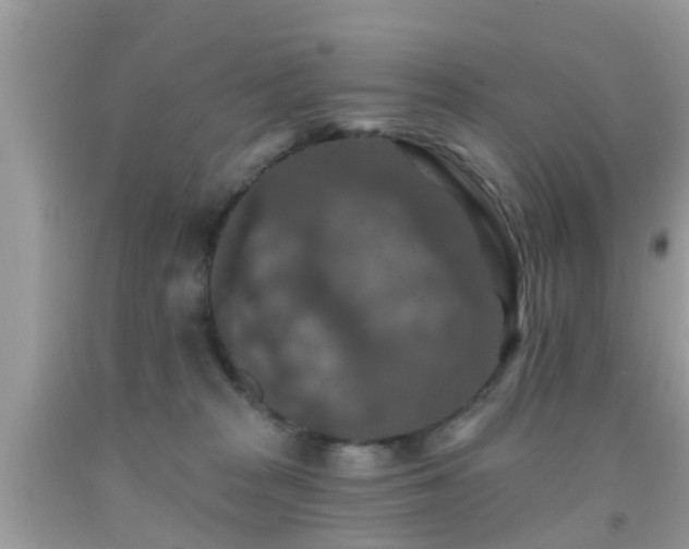 X0000092030277200709061621