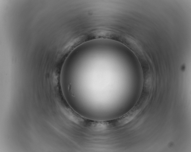 X0000092030282200709061621