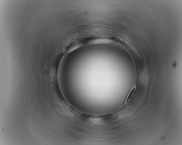 X0000092030283200709061621