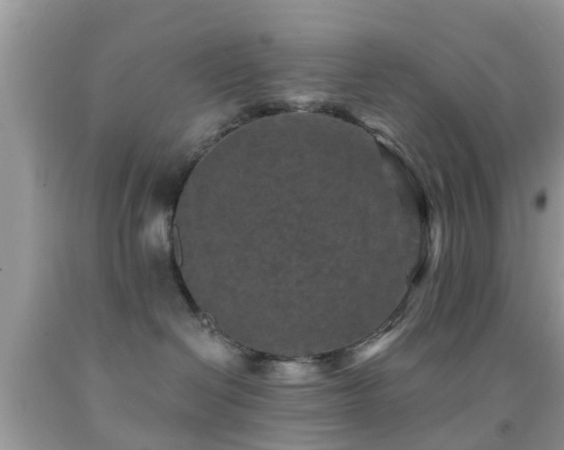 X0000092030286200709061621