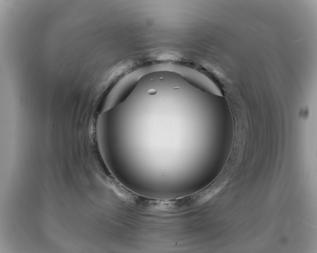 X0000092030288200709061621
