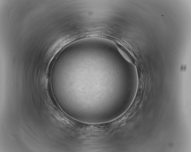 X0000092030290200709061620