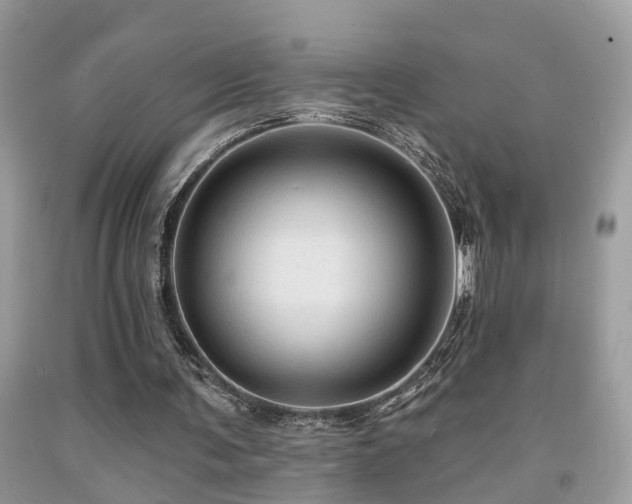 X0000092030291200709061620