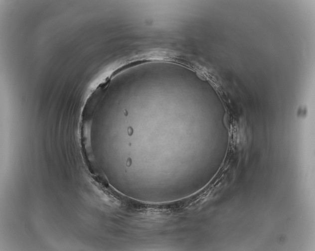 X0000092030292200709061620