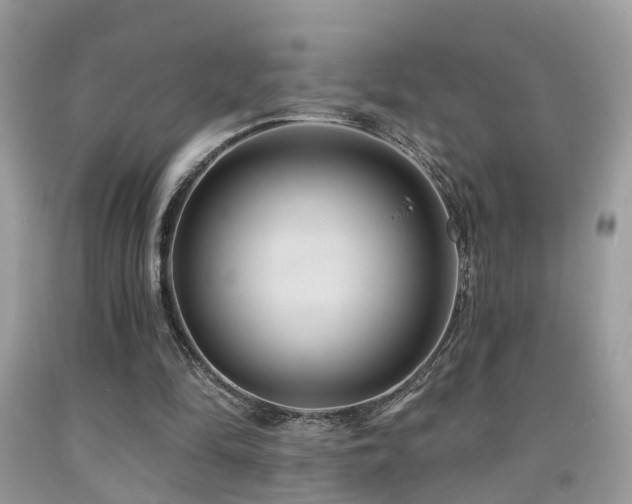 X0000092030294200709061620
