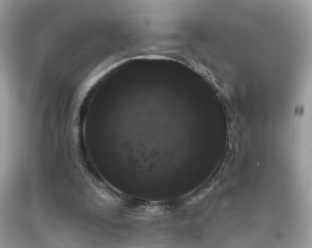 X0000092030295200709061620