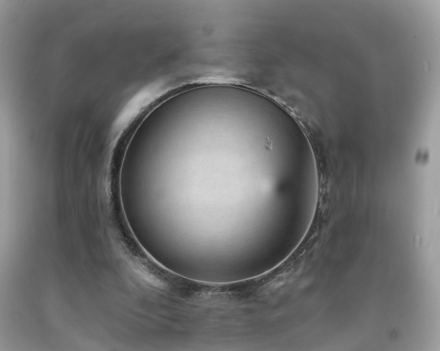X0000092030296200709061620