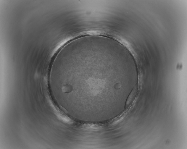X0000092030297200709061620