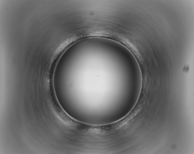 X0000092030298200709061620