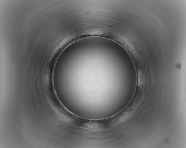 X0000092030300200709061620