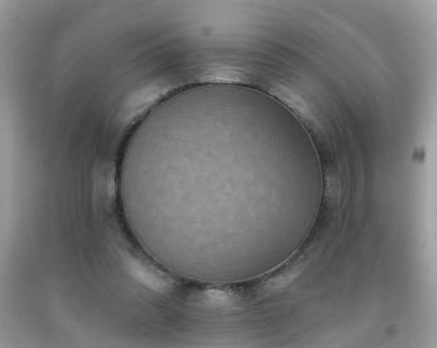 X0000092030302200709061620