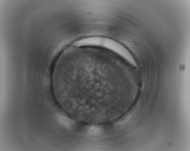 X0000092030303200709061620