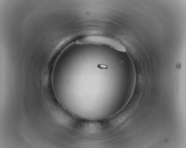 X0000092030304200709061620