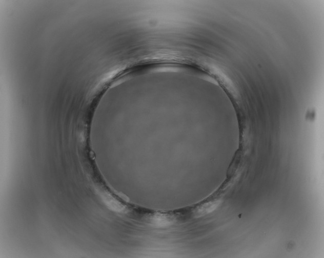 X0000092030305200709061620