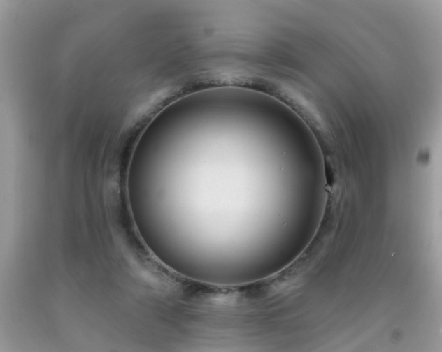 X0000092030306200709061620