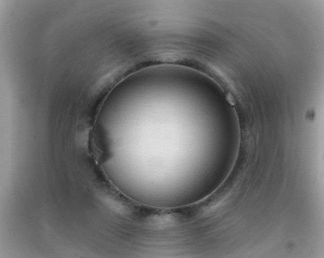 X0000092030307200709061620