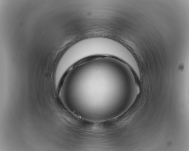 X0000092030308200709061620